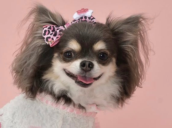 ルックちゃん専用ページ